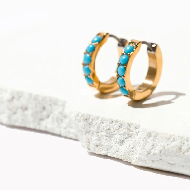 Sleek stud earrings-Alana Hoop Earrings